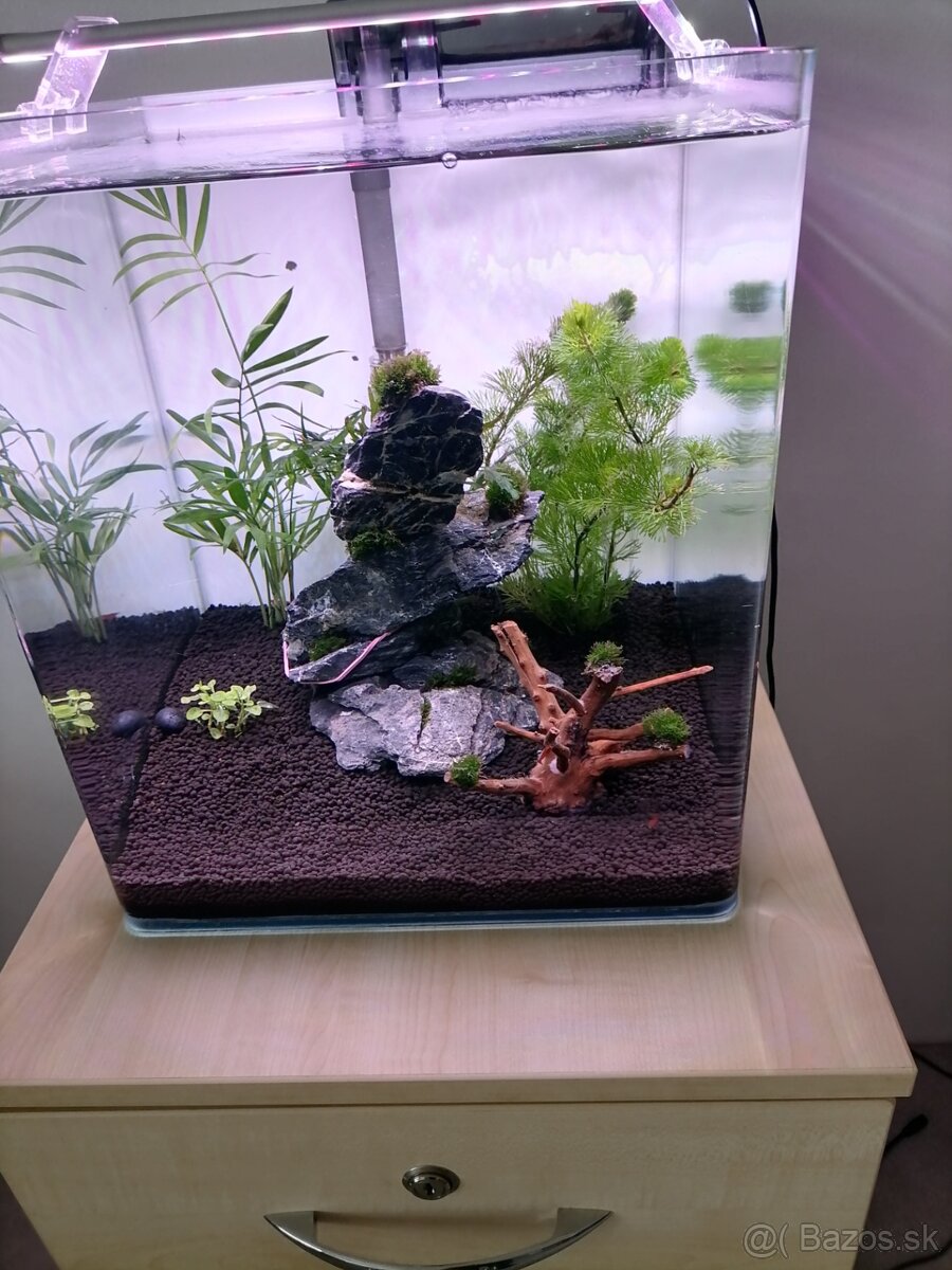 Dennerle akvárium 30l - 5