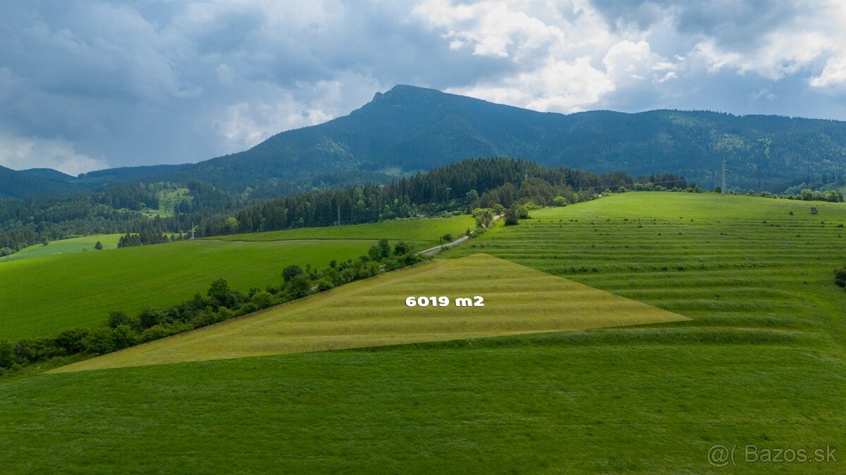 TOP CENA: Investičný pozemok vo Vyšnom Kubíne na predaj - 5