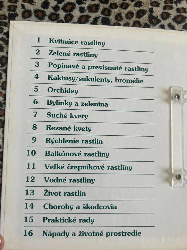 Izbové kvetiny od A do Z - 5