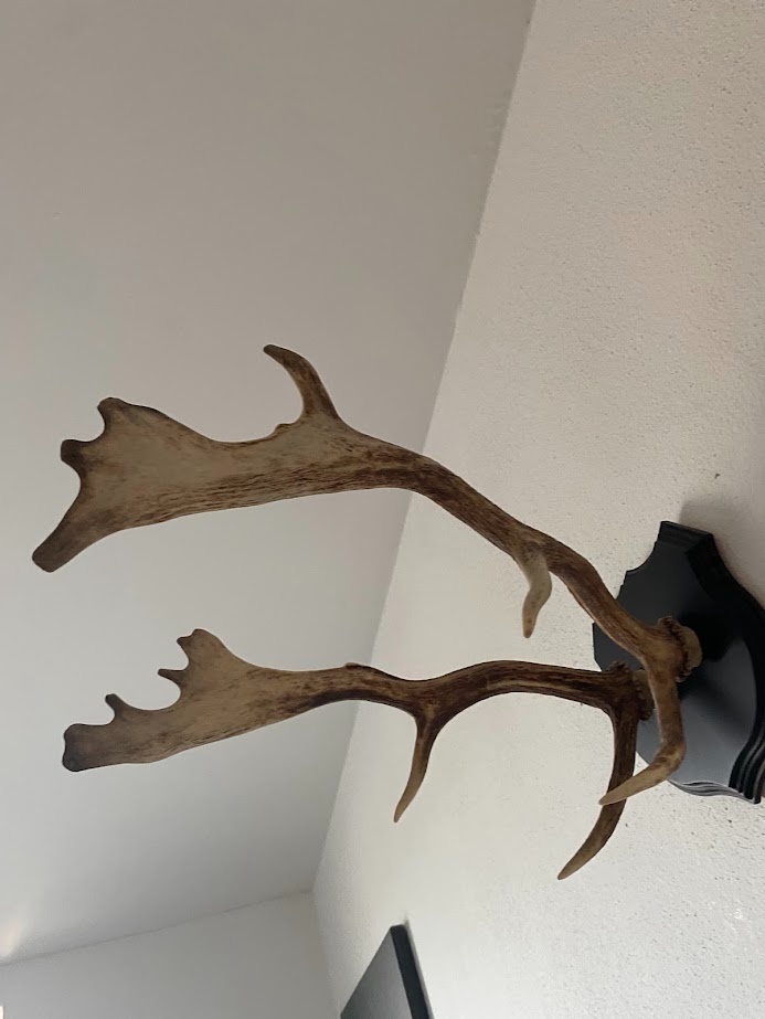 Predam polovnicke veci - 5