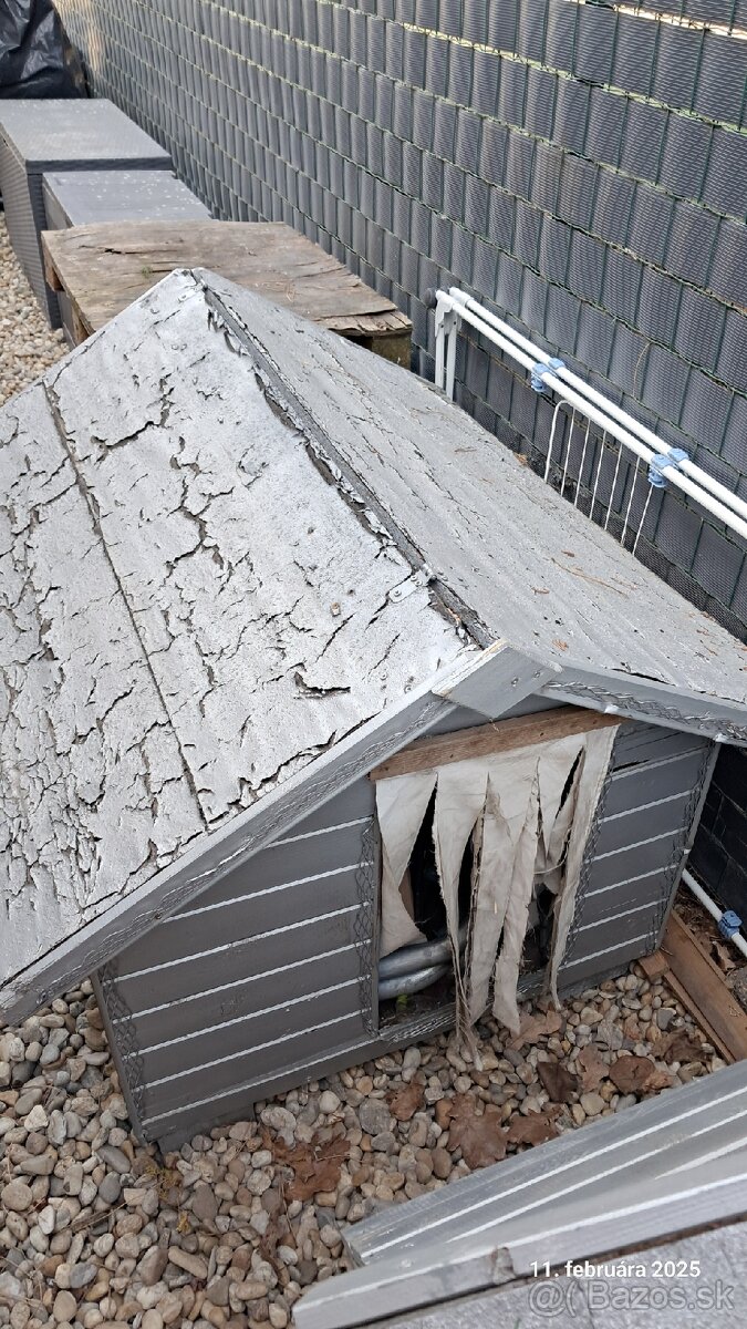 Psia búda - psie búdy - 5