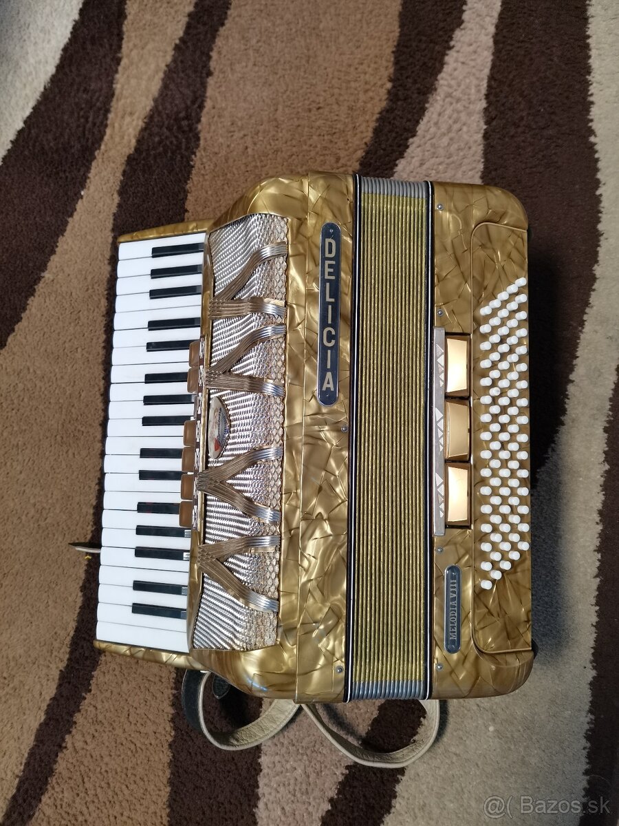 Akordeon Delicia - 5