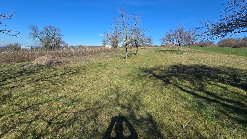 Domček v Žemberovciach spolu s pozemkom o výmere 3778 m2 - 5