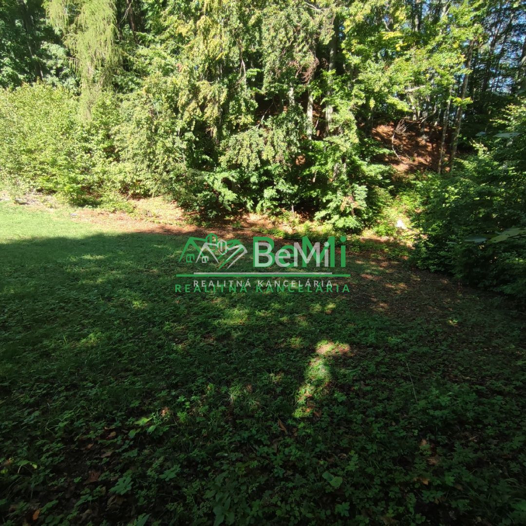 Rekreačný pozemok v Tajove na predaj ID: 015-14-STKa - 5
