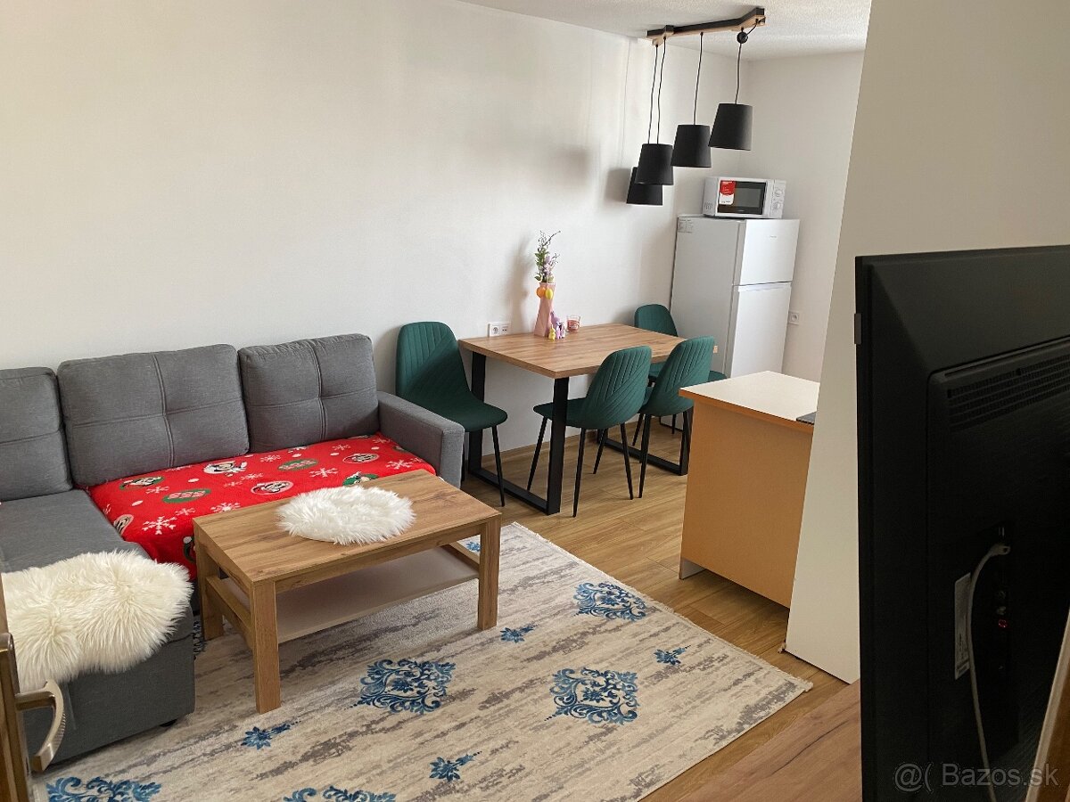 Prenajom 1,5 izbovy byt J.Husa - 5