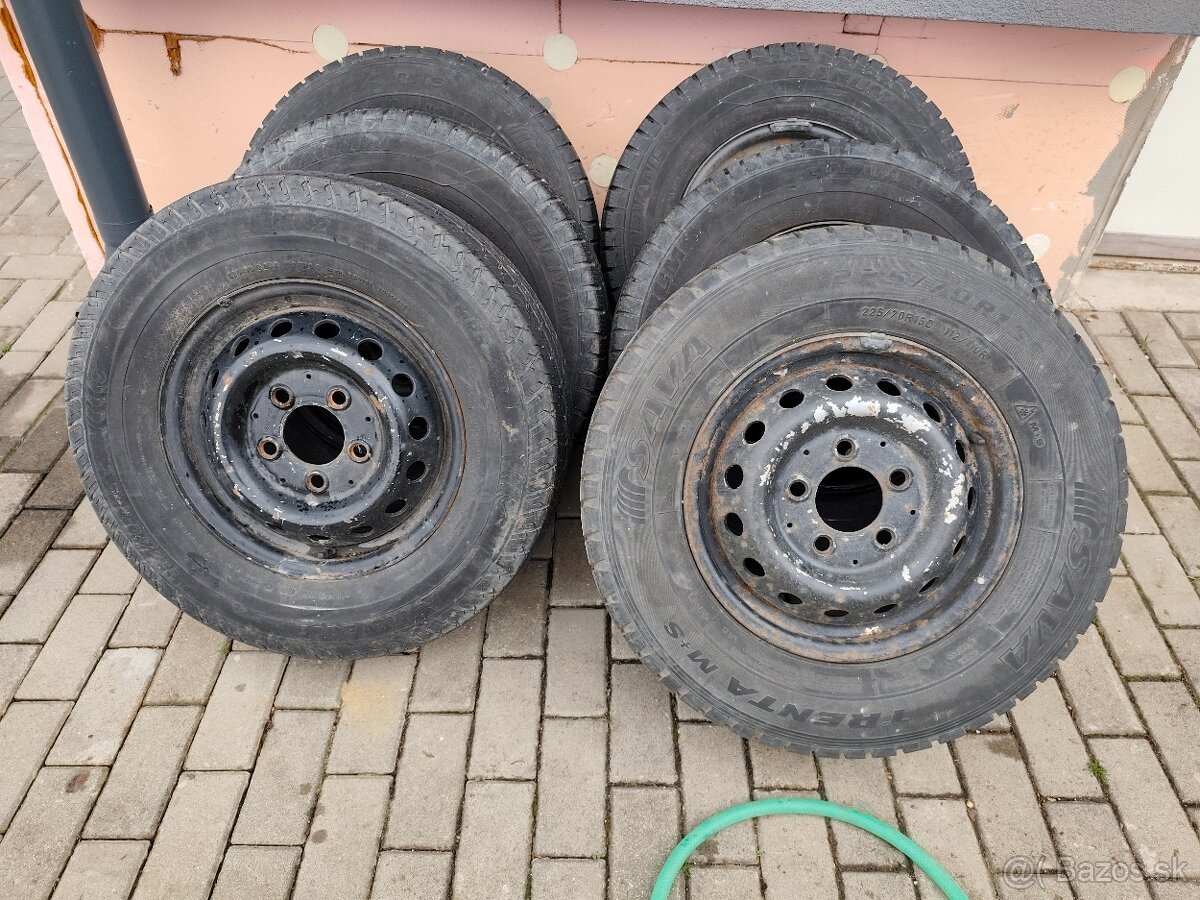 Sprinrer - 5