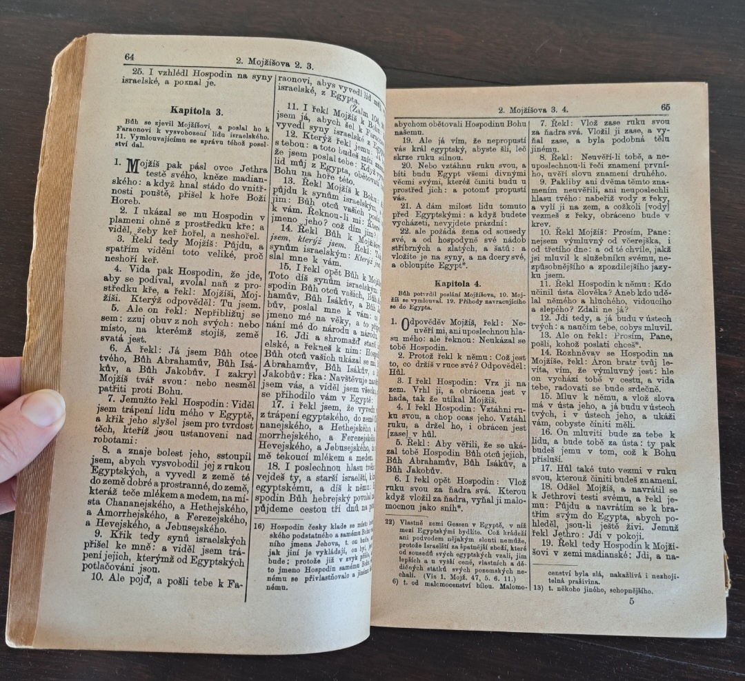 Biblie Česká 1889 - 5