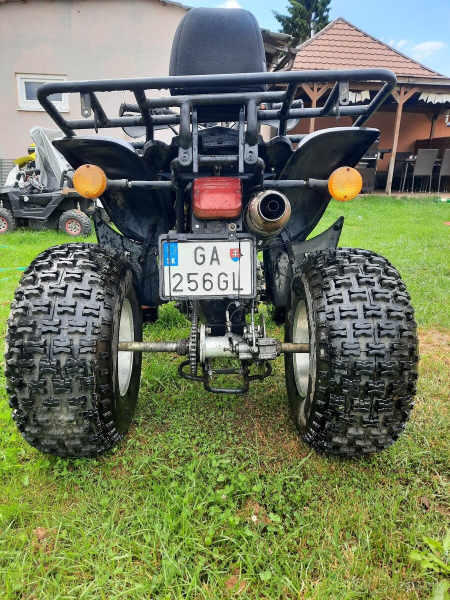 Eagle lyda 203 Tp spz