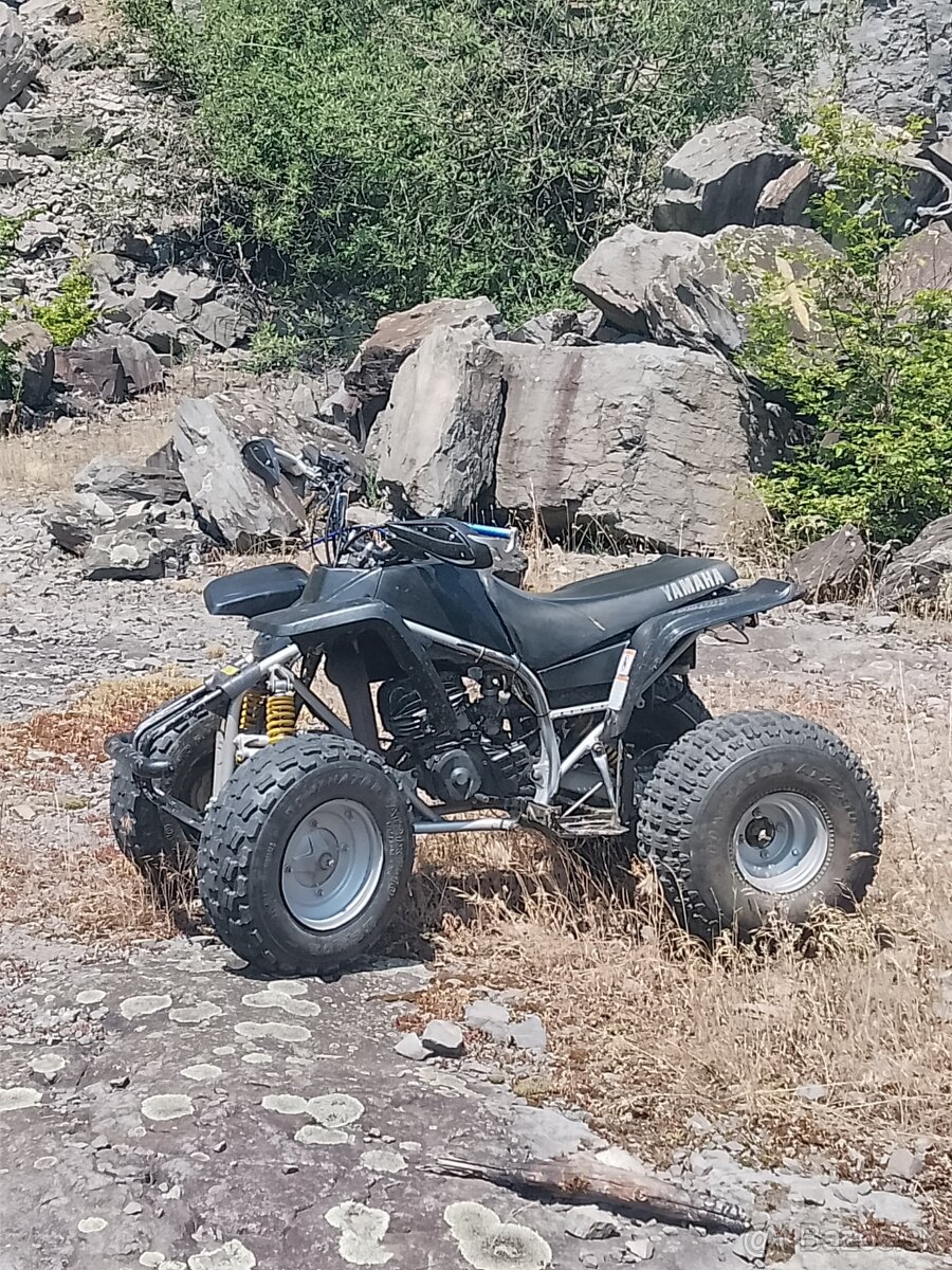 yamaha blaster 200 2t