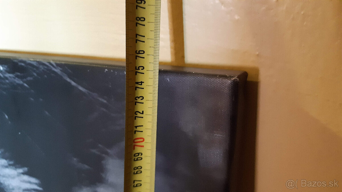 Predám obraz tigra tlac na platne. - 5