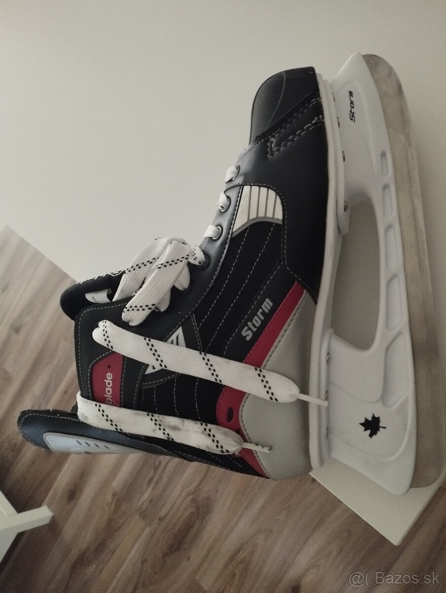 Pánske korčule - 5