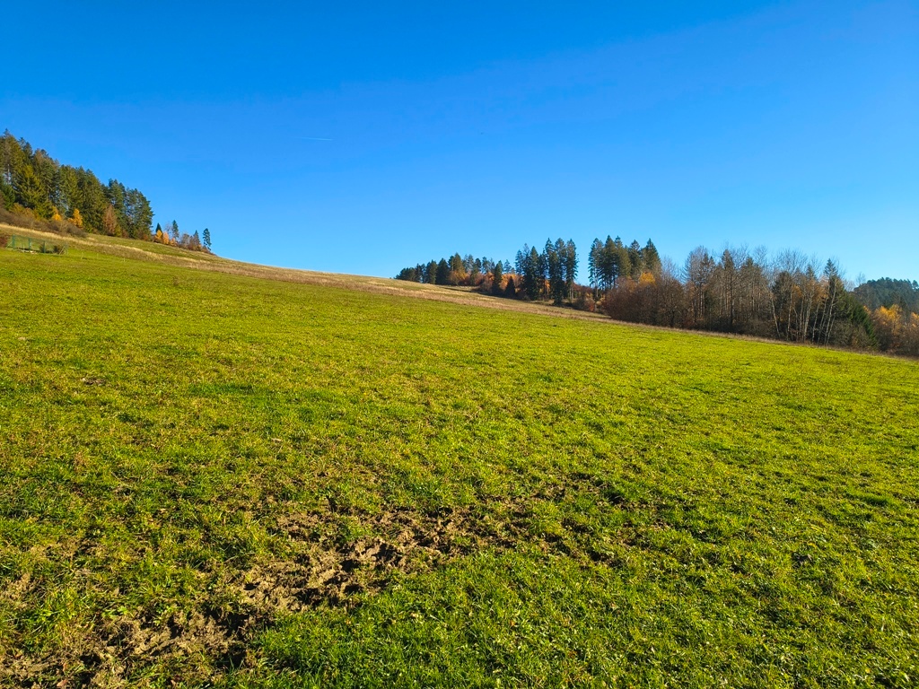 Stavebný pozemok Snežnica - 5