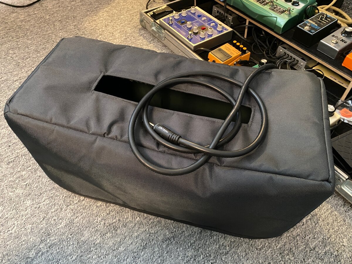 Marshall Origin 20H + Palmer 1x12 Celestion Greenback - 5