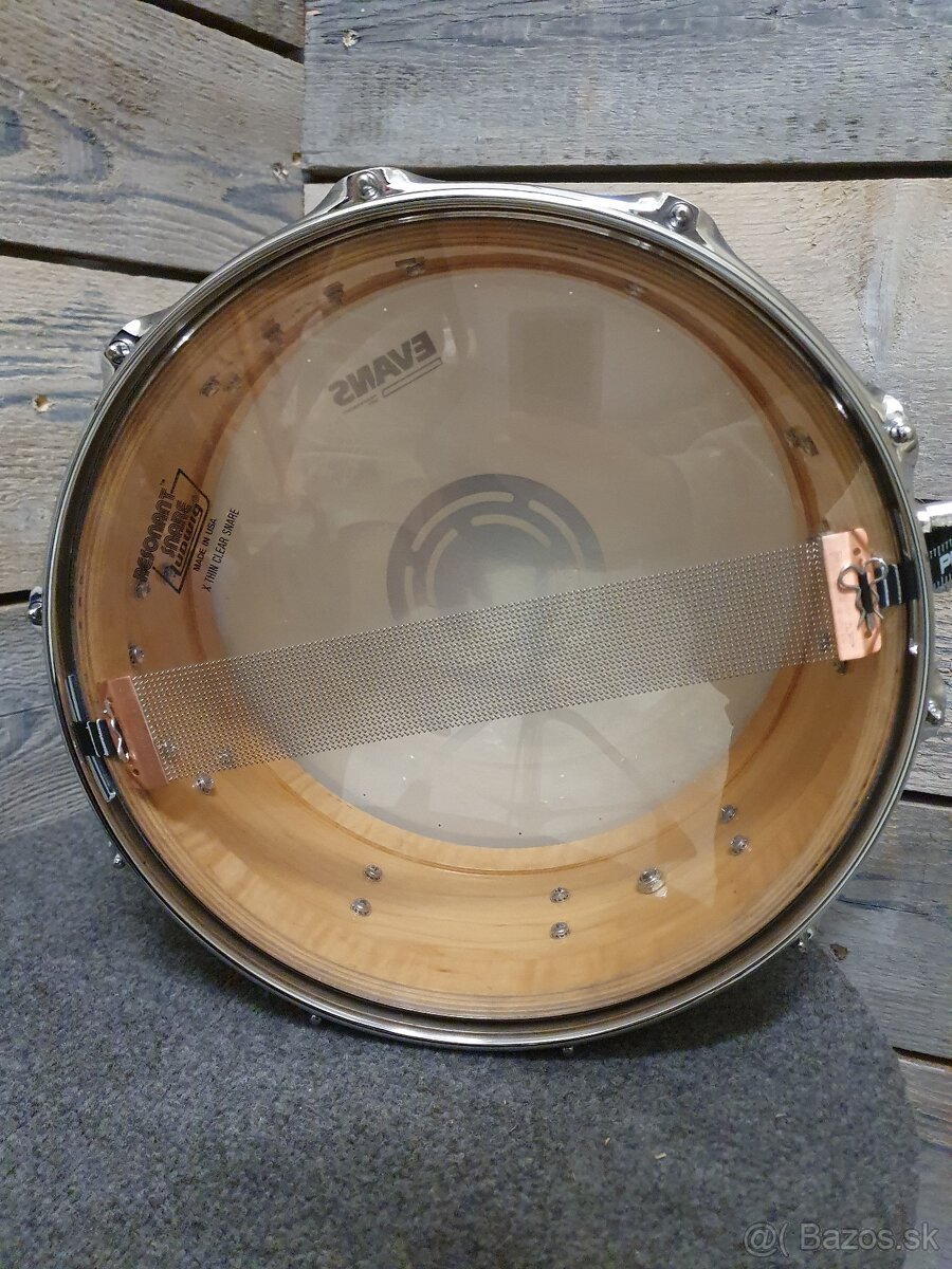 snare DW Collectors Maple 14x6 satin natural - 5