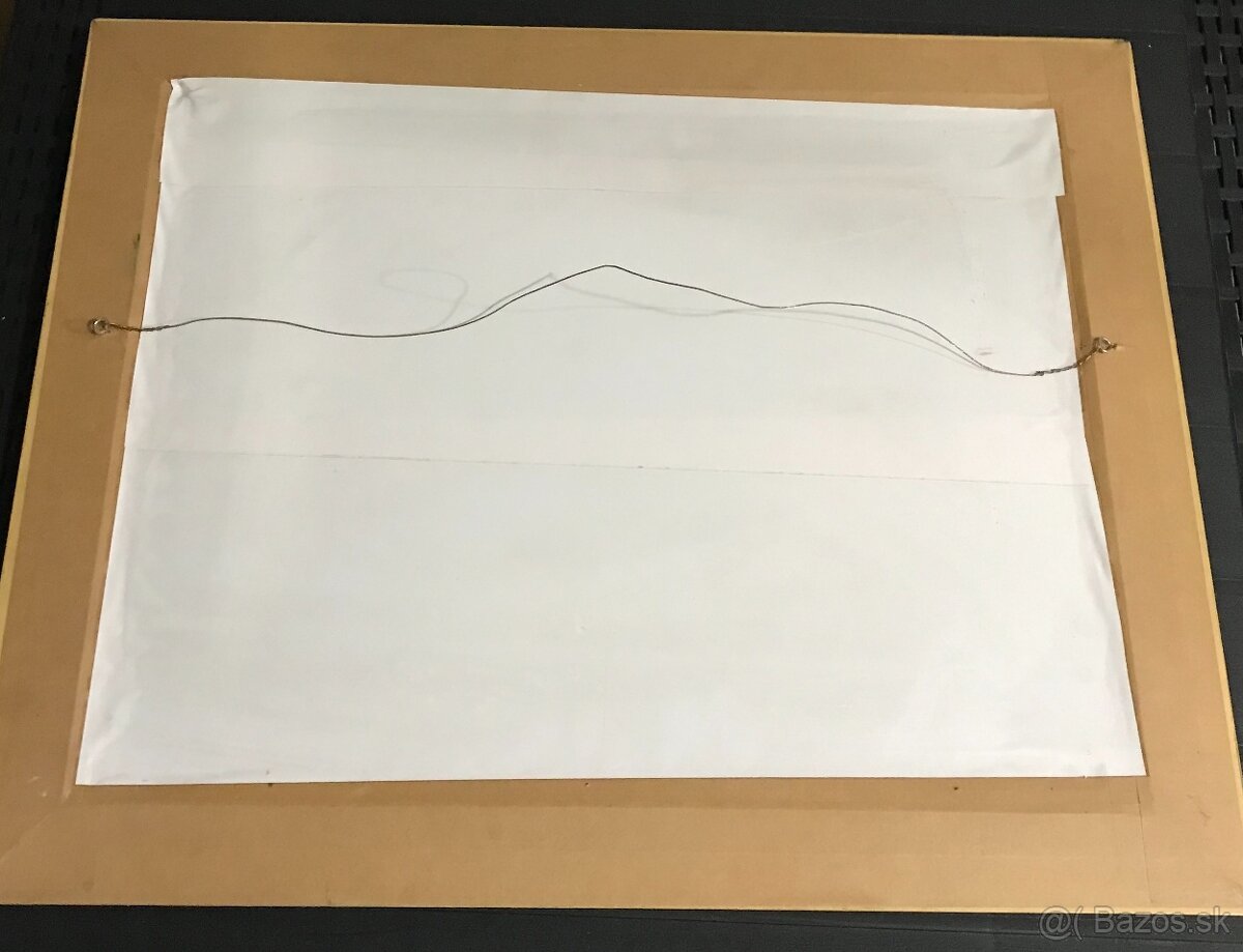 Wessel, maľovaný pes - 5