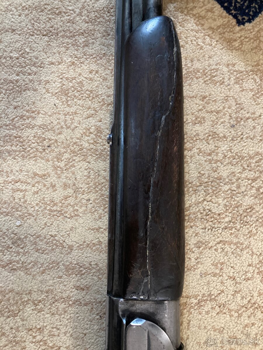 gulobrokova kozlica - 5