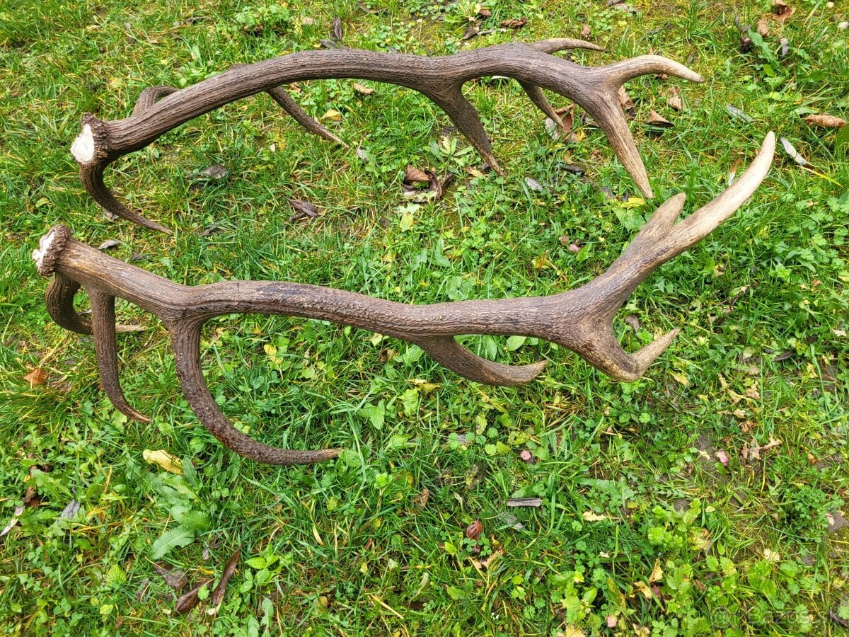 Parozie,parohy,zhody - 5