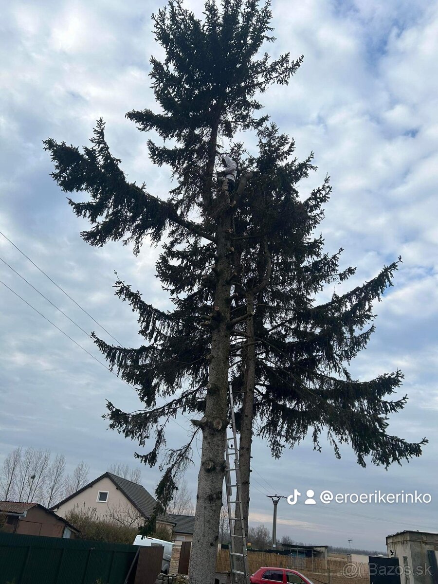 PONÚKAM OREZAVANIE A VÝRUB STROMOV - 5