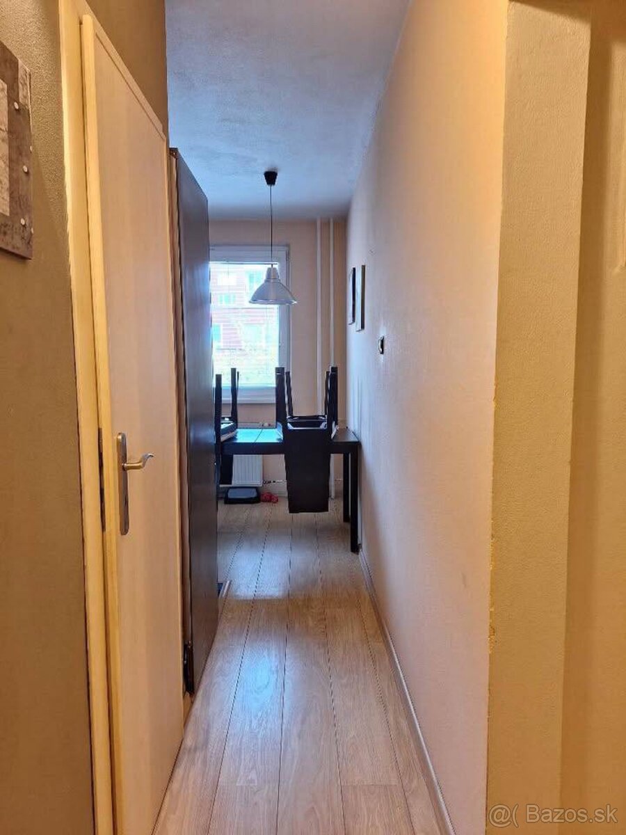 Prenajom izby v 3i byte - 5