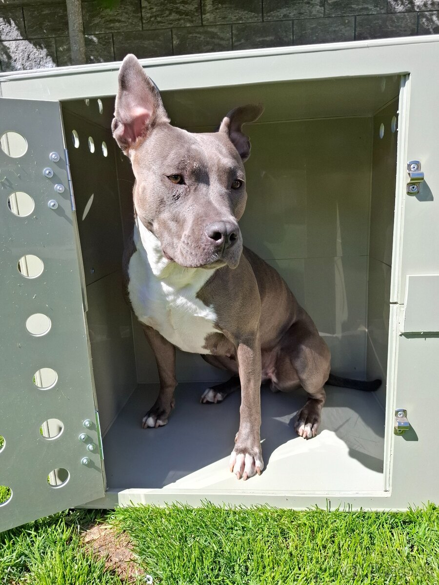 Prepravný box na psa - 5