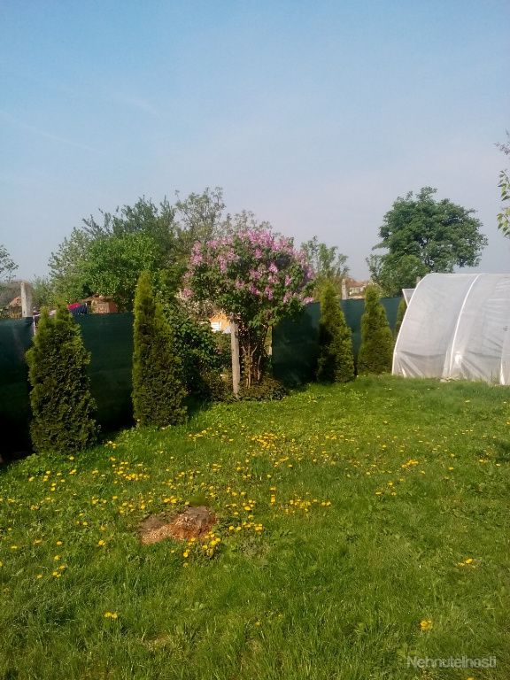 Predám rodinný dom v Čalovci / Violin / Čalovec - 5