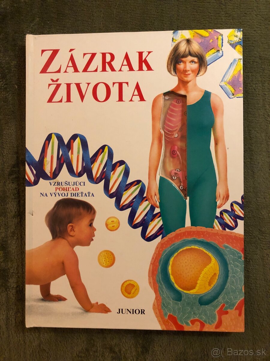 Tintin, Táborenie a iné - 5