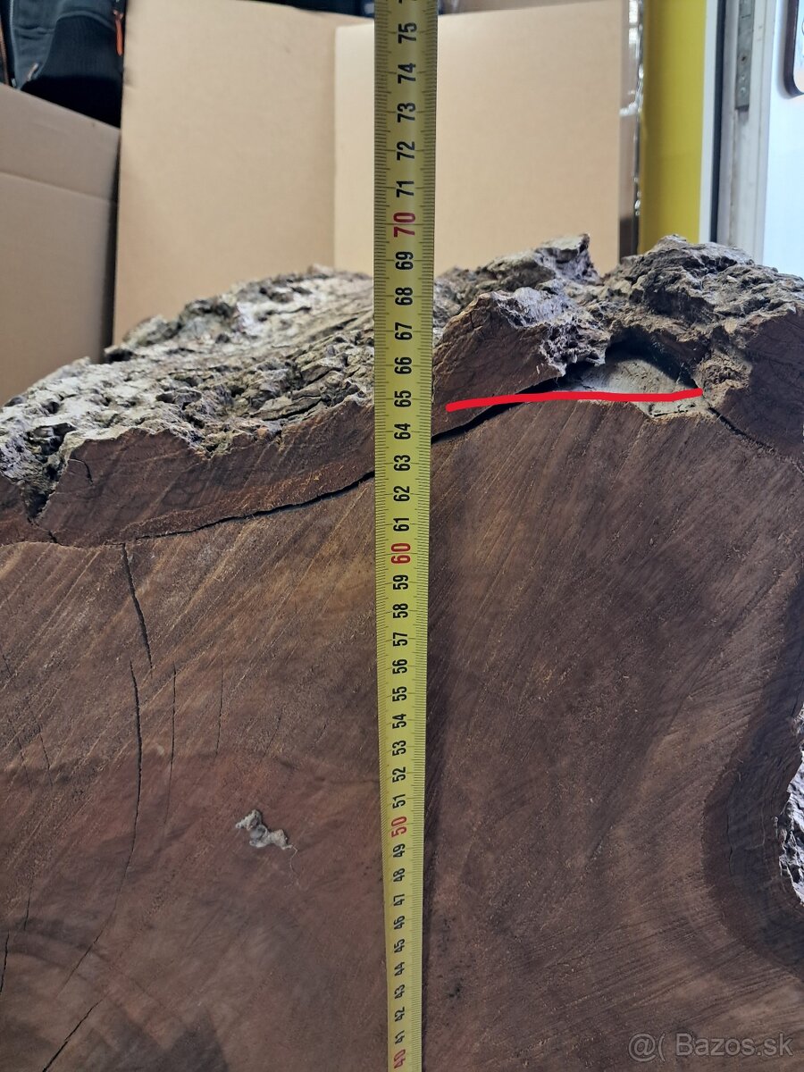 Orechovy kmen drevo - 5