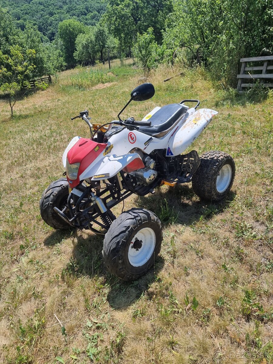 Predam Bashan 250cc