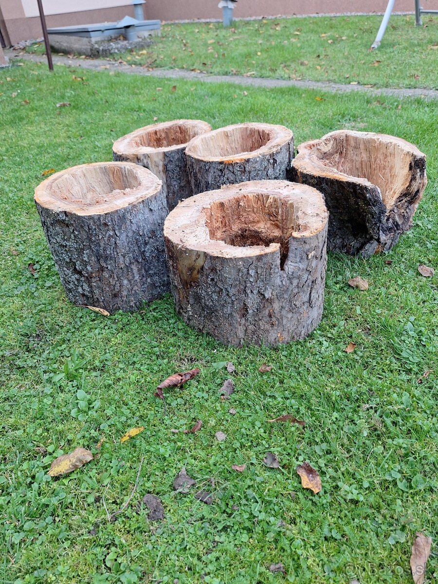 Dutý kmeň na búdky pre vtakov - 5