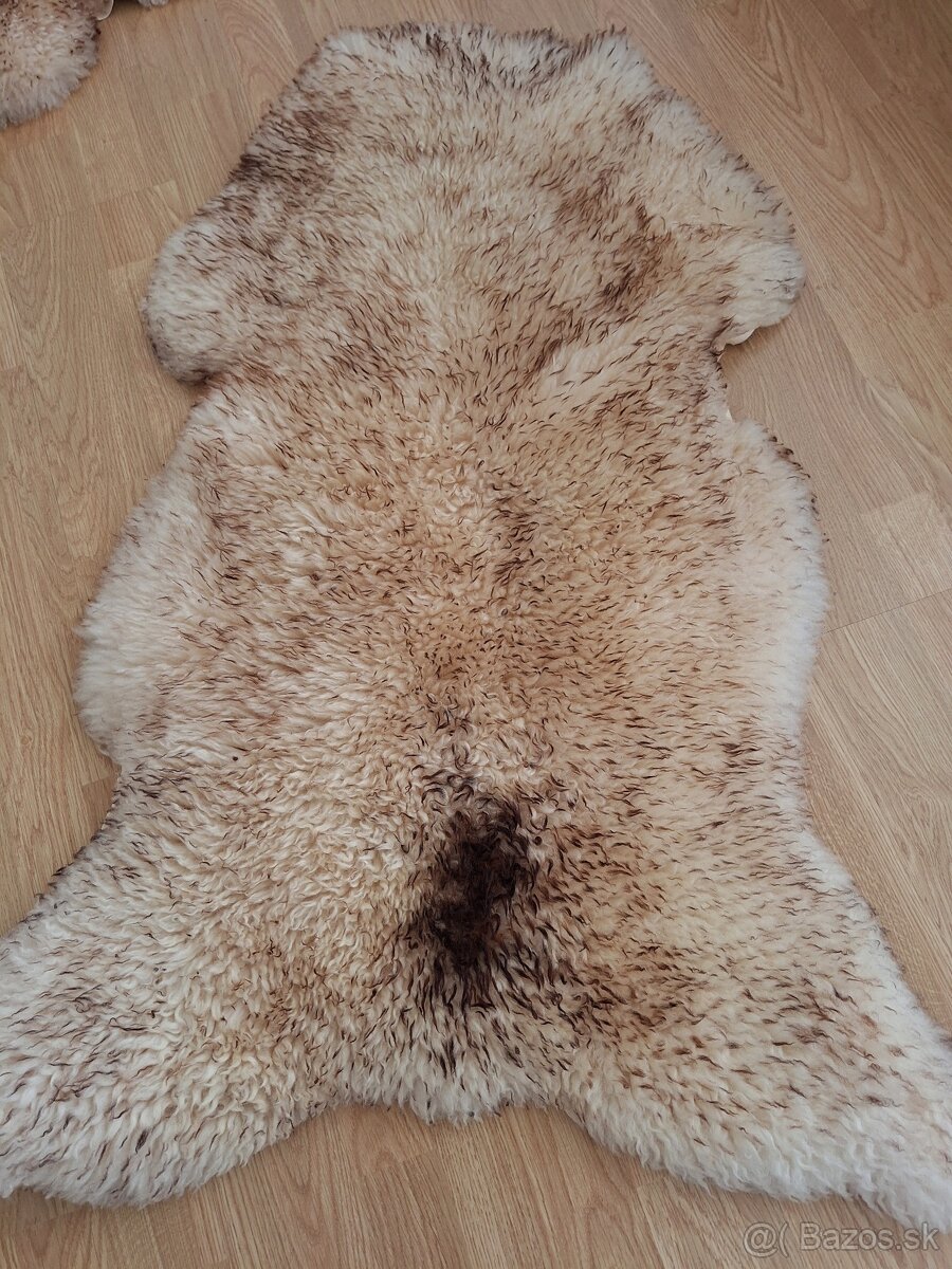 Ovčia kožušina - 5