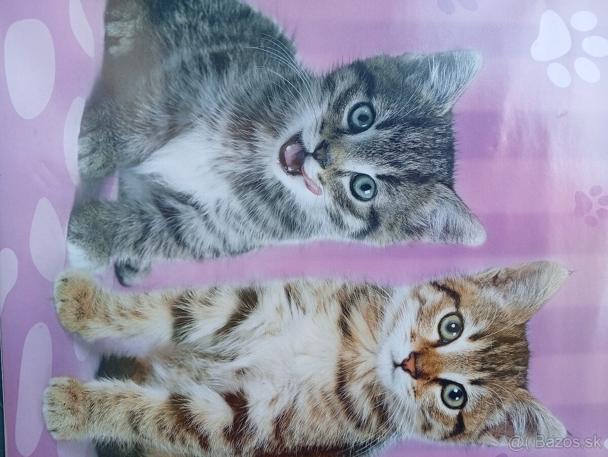 Podložka na stôl pre deti - 5