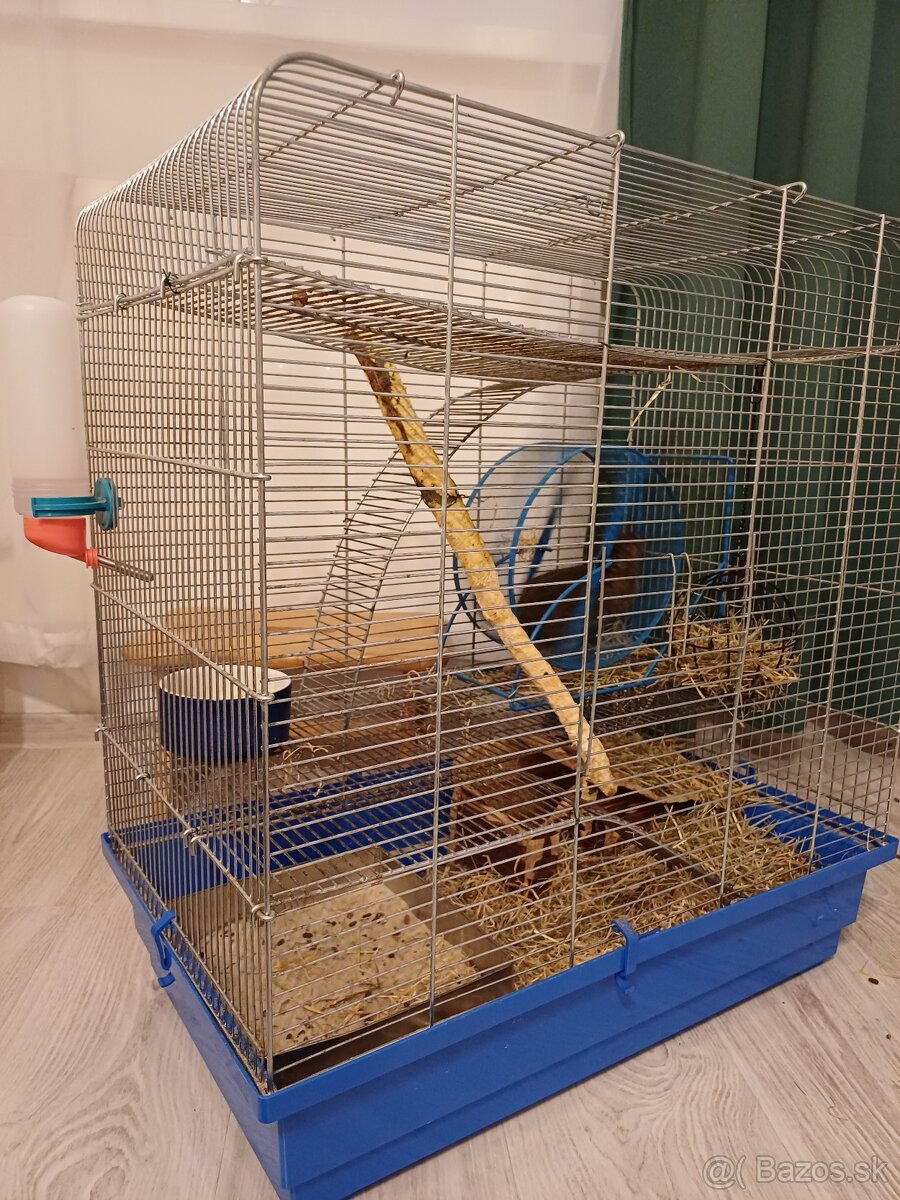 Osmak Degu s kompletnou výbavou. - 5