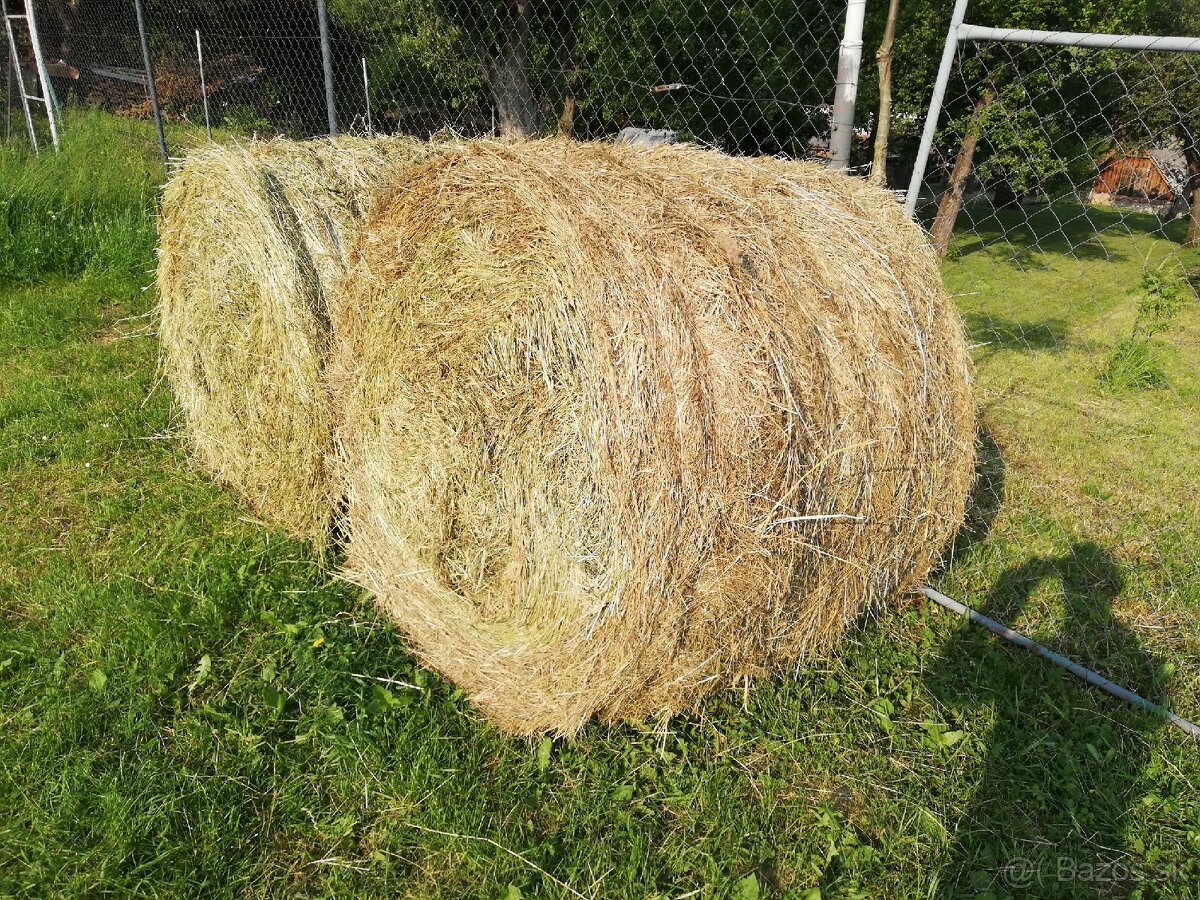 Horské lúčne seno, luceren. - 5