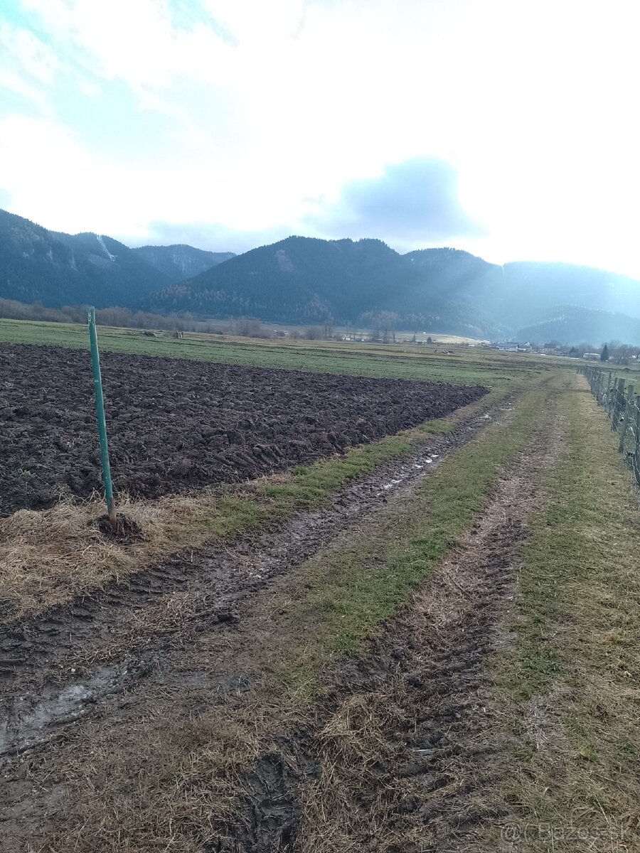 PREDÁM POZEMOK,,,ĎURČINÁ - 5