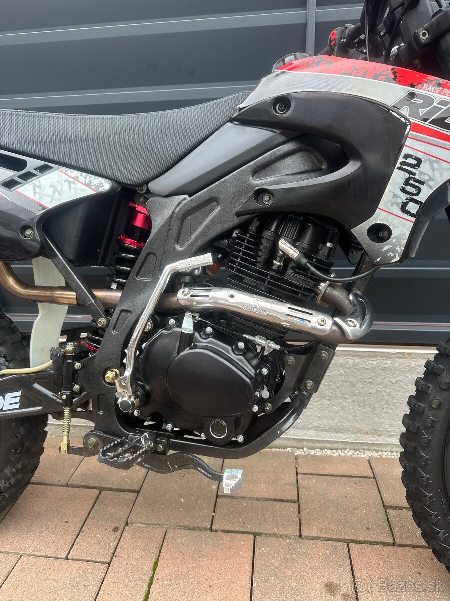 Rice 250