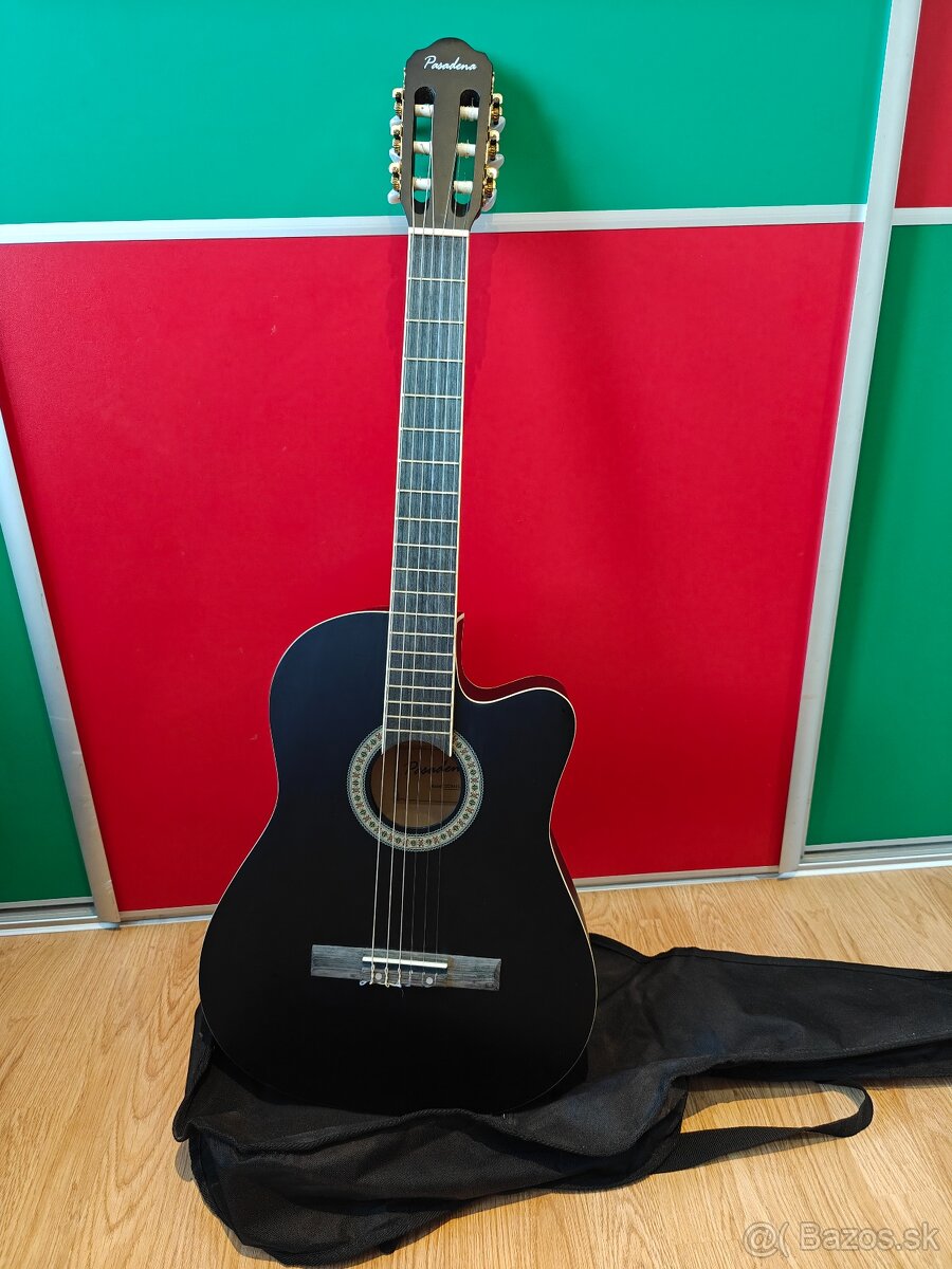 Čierna gitara, Pasadena + príslušenstvo - 5