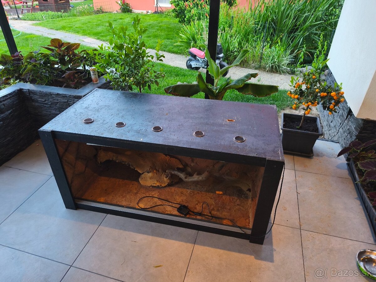 Agamy + terarium + vybava - 5