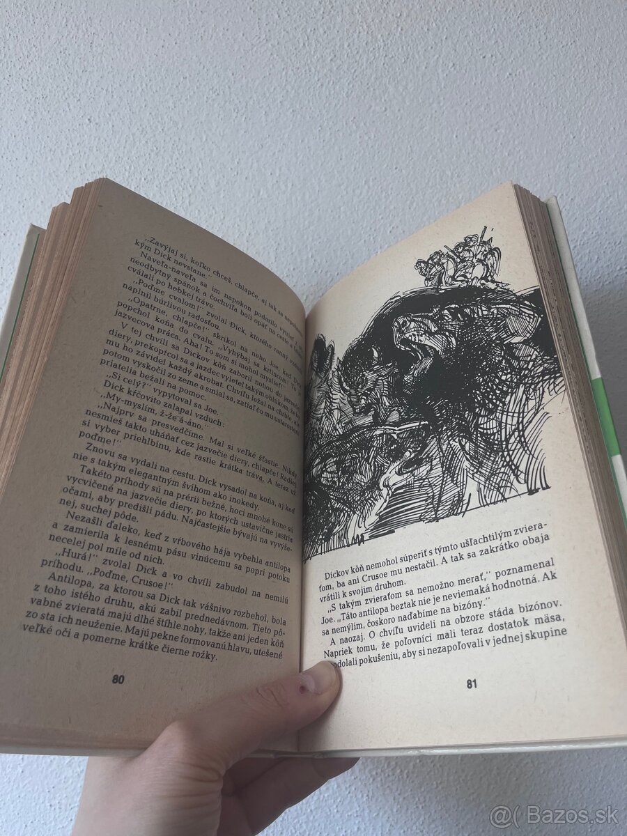 Róbert M.Ballantyne - Verný priateľ Crusoe - 5