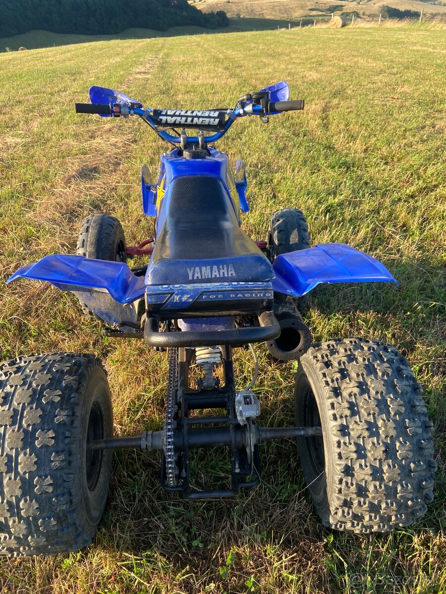 Yamaha Blaster - 5