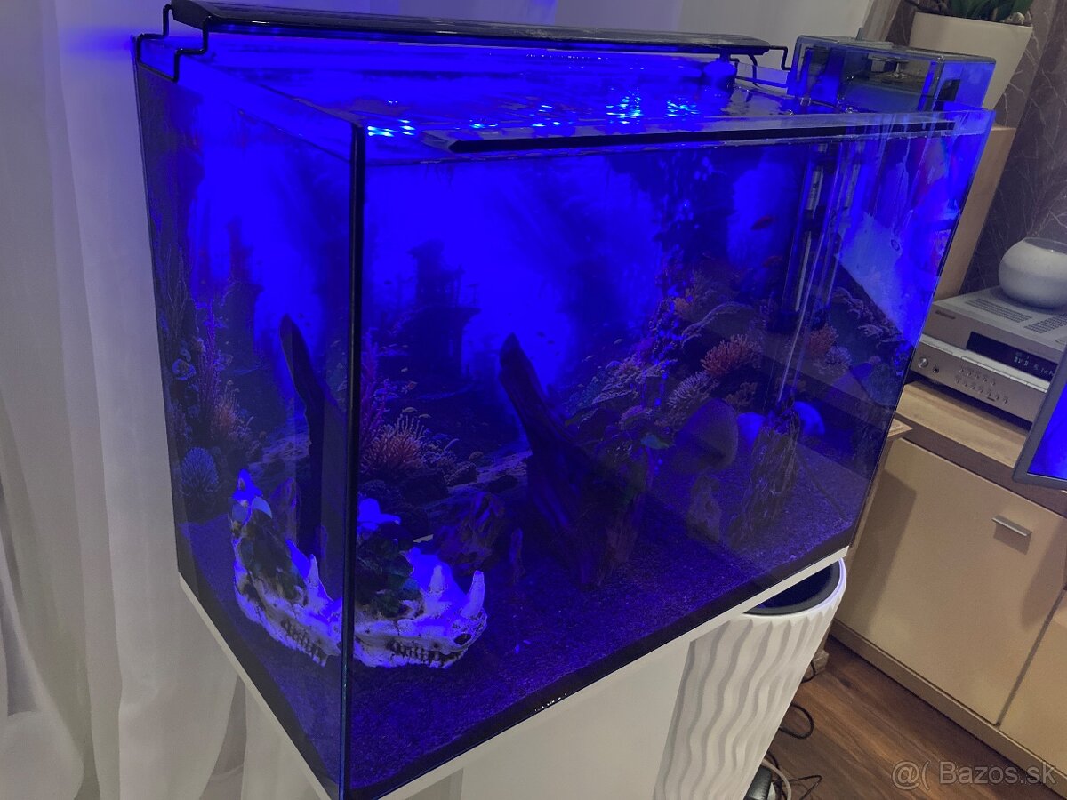 Zariadené akvárium 75l - 5