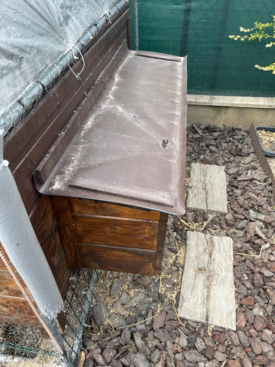 predam sliepky brown nick - 5