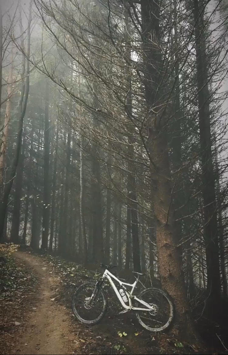 Specialized Stumpjumper Comp Carbon S5 (XL) - 5