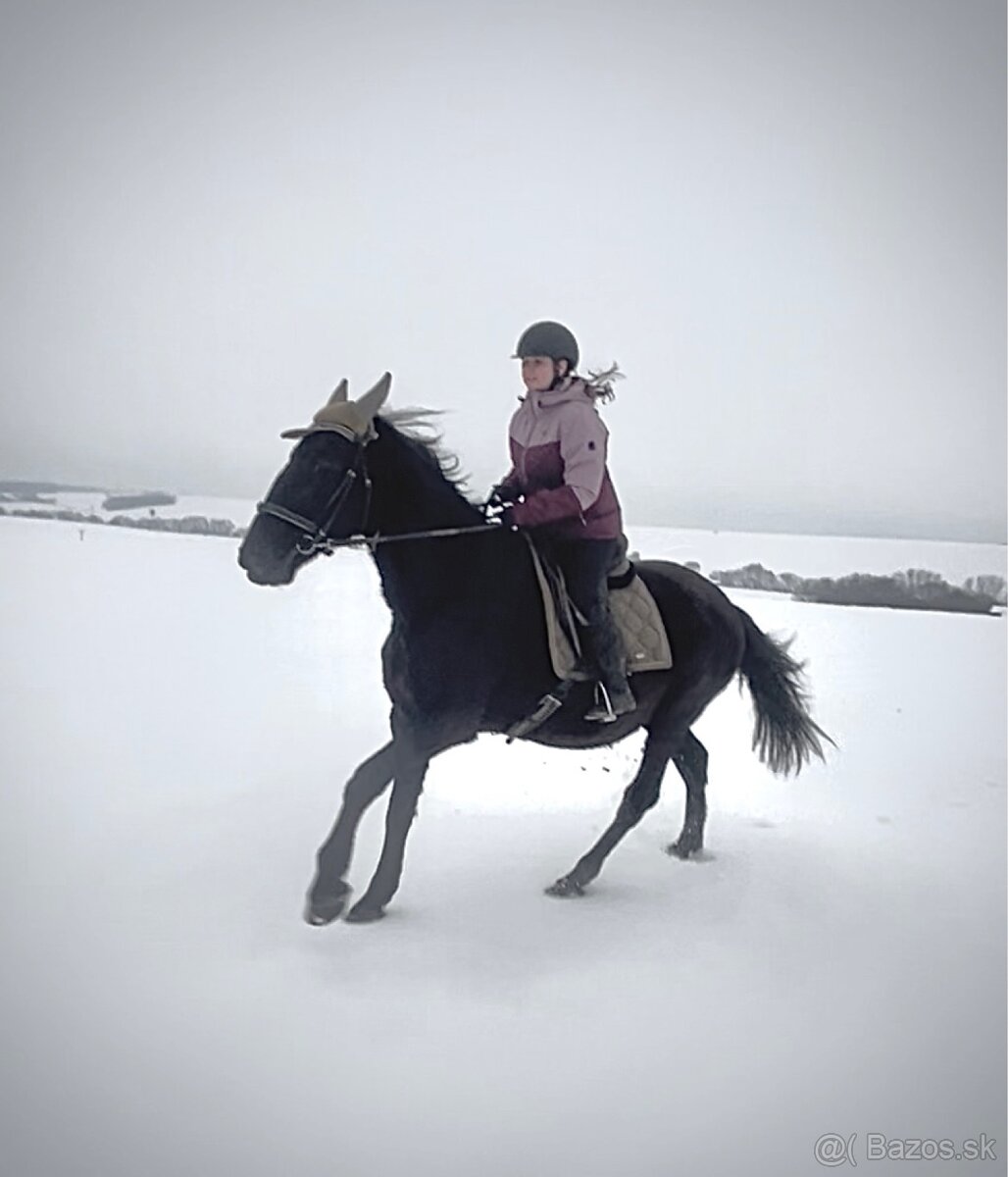 Kobyla s PP aj pre zaciatocnika - 5