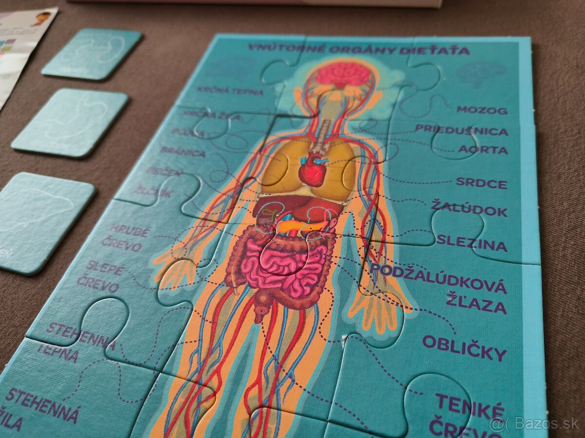 Puzzle Moje telo - 5