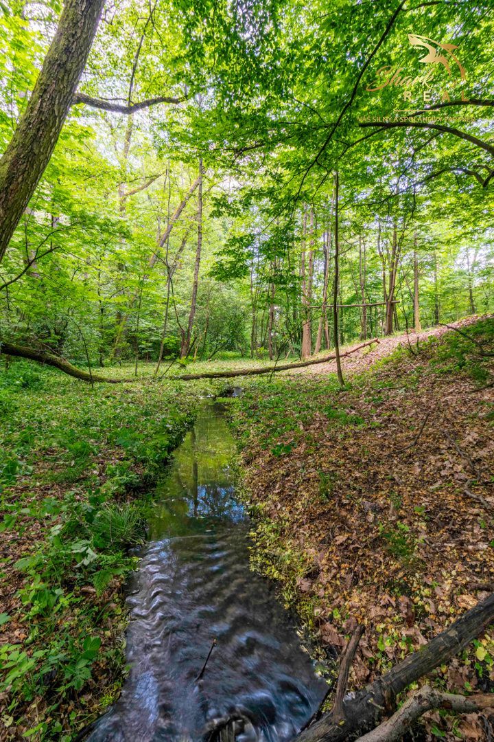 Pozemok v lone prírody s potôčikom– ideálny pre vašu vysníva - 5