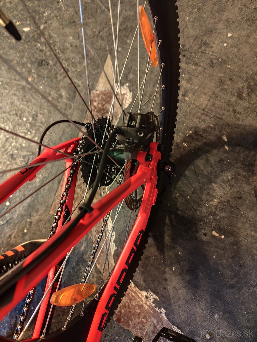 MTB-Kellys Spider - 5