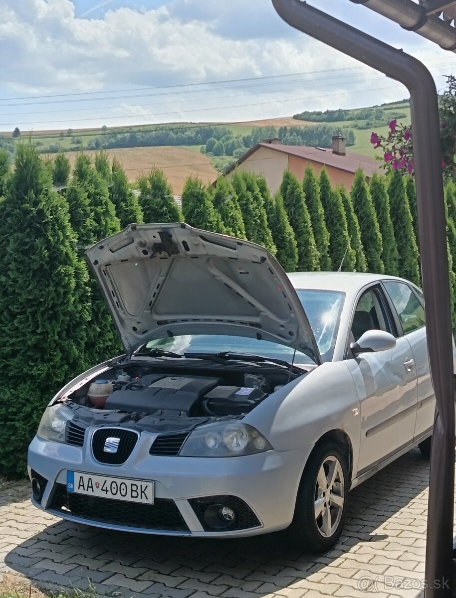 Seat Ibiza 6L 2005 - 5