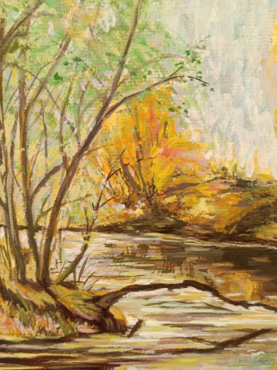 Obraz partie u Vydry Šumava, olej 85x64 - 5