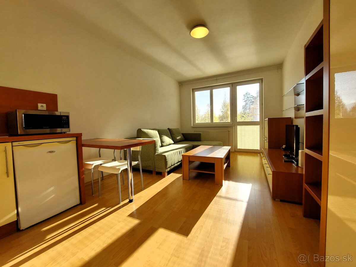 REZERVÁCIA EXKLUZÍVNE Garsónka s balkónom, Žilina - V - 5