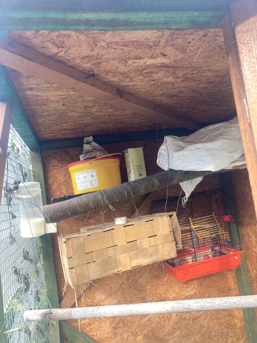 Voliera s105 h107 v160 - 5